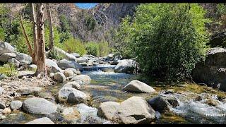 Backpacking good friends and a nice cold river