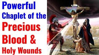 Efficacious Chaplet of the Precious Blood Holy Wounds Liberating Healing Our Deep Inner Wounds