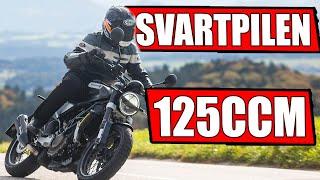 HUSQVARNA SVARTPILEN 125CCM MOTORRAD 2021 MOTORRAD NEUHEIT 2021