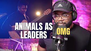 First Time Hearing Animals As Leaders   The Brain Dance Reaction