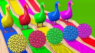 5 Giant Ducks Cartoon Elephant Gorilla Lion Buffalo Dinosaur With Balls Game - Animals 3D