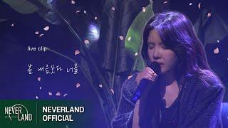 Concert 김나영 - 봄 내음보다 너를ㅣ2024 NA On The Voice Espressivo