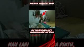 PENAKUT    Definisi teman koplak bangunin sahur pake prank hantu