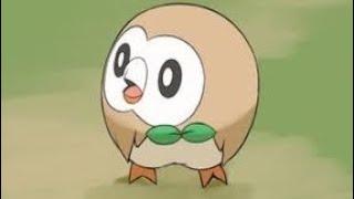 Rowlet Gets Lost #pokemon