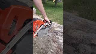 That Professional Chainsaw Feeling