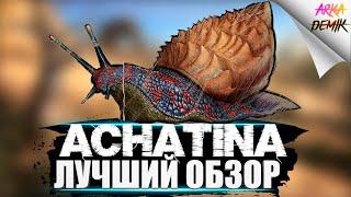 Ахатина Achatina в АРК.  Лучший обзор приручение разведение и  способности в ark.