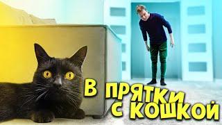 Играем в прятки с кошкой Соней   SANI vlog