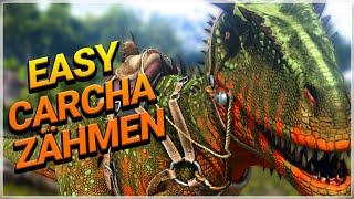 How to quickly and easily tame a Carcharodontosaurus  Taming in ARK  ARK Survival Evolved