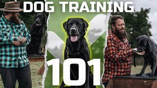ITS NEVER TO LATE TO TRAIN YOUR DOG
