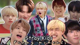 Stray Kids funny moments 