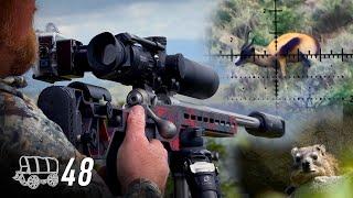 You Cant Beat the African Experience Airgun & Rifle Hunting  Oxwagon Diaries pt.48