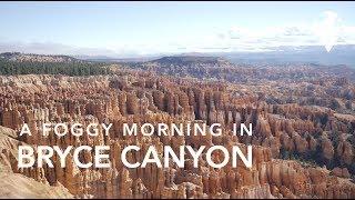 A FOGGY MORNING IN BRYCE CANYON