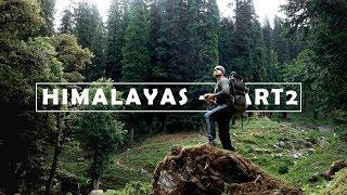 Trekking in the deep Forest  Hamtpa Pass Trek Part 2  Himachal  Himalayas