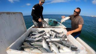 Catching Mullet on the Beach