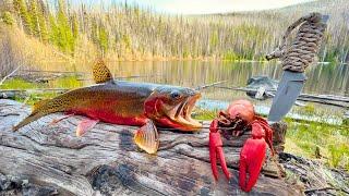 SOLO Mountain Crawfish & Trout Fishing Catch & Cook