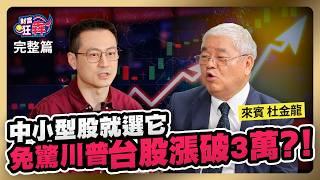 川普沒在怕 2025台股漲破3萬機率八成？ 3檔中小型股先卡位 AI帶頭衝｜楚狂人 ft. 資深分析師 杜金龍｜財富狂犇｜玩股網20241031