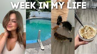 WEEK IN MY LIFE pool is open neighbor problems ninja creami recipe kitten update & new hair️