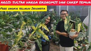 BARU KALI INI NURSERY TANAMAN HIAS CAKEP DAN MURAH MERIAH SAMPAI NGILER 