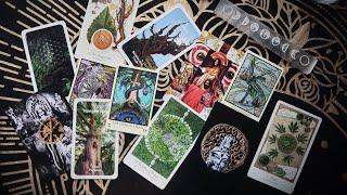 Life Is How You Experience It  #GardenArcana Ep. 4  Tarot in the Garden with @CandySoulAndSoil