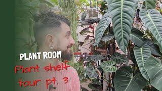 Plant Room Tour Continued  Houseplant Shelf Tour  Part 3