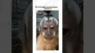 random lucu viral  tiktok