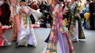 Vietnam traditional dance