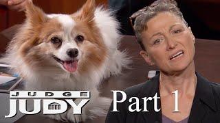 Dogs Attack Service Dog in Coffee Shop  Part 1