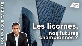 Les start-up licornes nos futures championnes ?