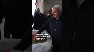 Лукашенко прикоснулся к белорусскому золоту #лукашенко #новости #политика #беларусь #shorts