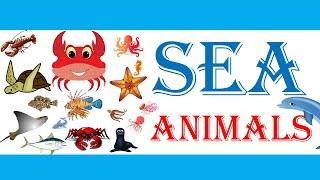   Sea Animals  Sea Animal Names  Learn Sea Animals  Sea Animals  For Kids  