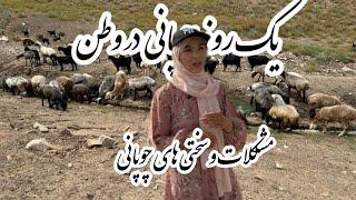 یک روز چوپانی با مهدیه جان و نویان جان Shephred in village