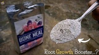 The Ultimate Guide To Use Bone Meal Powder For Plants..