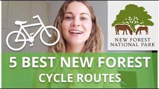 The Best 5 New Forest Cycle Routes - Including Free Cyclexperience Cycling Maps Download