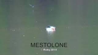 Mestolone 3 2018