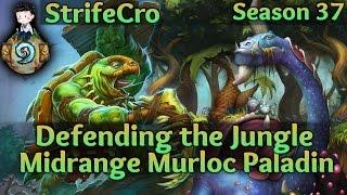 Hearthstone Midrange Murloc Paladin Defending the Jungle