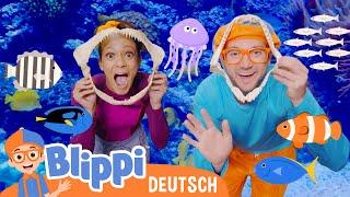 Blippi Meekah und die Nacht im Aquarium   Blippi Deutsch -  Abenteuer und Videos für Kinder