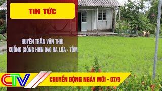 CHUYỂN ĐỘNG NGÀY MỚI 07-9-2024  HUYỆN TRẦN VĂN THỜI XUỐNG GIỐNG HƠN 940 HA LÚA - TÔM.