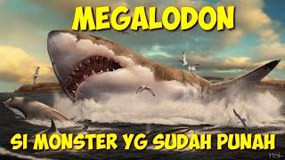 7 fakta MEGALODON.. SI PENGUASA LAUTAN YANG SUDAH PUNAH