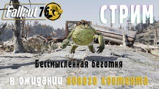 Fallout 76  Стрим