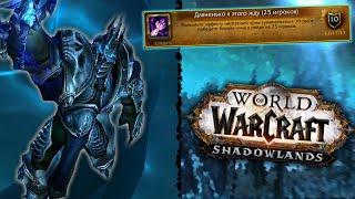 Давненько я этого жду 1025 игроков в соло  WoW Shadowlands