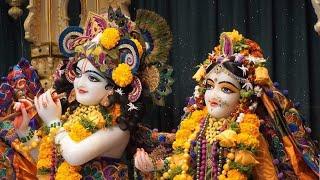 new krishna statuslord Radhakrishna statuskrishna whatsapp statuskrishna bhajan status #krishna