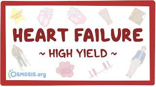 Heart failure Pathology review