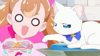 Yuki cat punches Komugi  Wonderful Pretty Cure