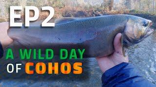 FISHING VLOG EP2 - A WILD DAY OF COHOS