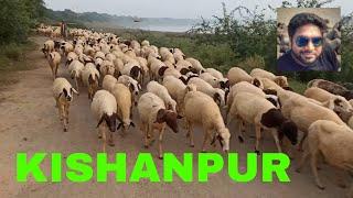 TRIP TO KISHANPUR RAMLILLA MAIDAN & JAMNA FATEHPUR  VLOG BY ZEPHYR