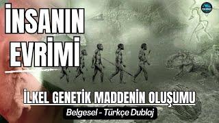 İnsanın Evrimi  Belgesel  Türkçe  İnsanlığın Destansı Yolculuğu  İlkel Genetik Maddenin Oluşumu