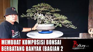 MEMBUAT KOMPOSISI BONSAI BERBATANG BANYAK bagian 2