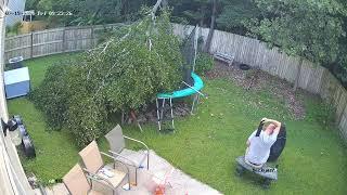 Backyard Tree Limb Cleanup 7192024