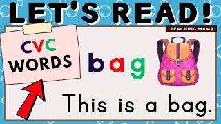 LEARN TO READ CVC WORDS  PRACTICE READING SIMPLE SENTENCES  FOR BEGINNERS  TEACHING MAMA