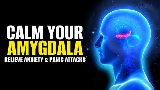 Calm Your Amygdala  Lessen Fear Response In Body  Relieve Anxiety & Panic Attacks  Calming Music